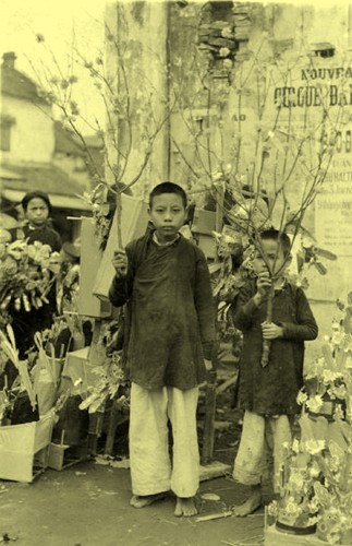 Hai anh em đi bán hoa đào ở chợ Tết.